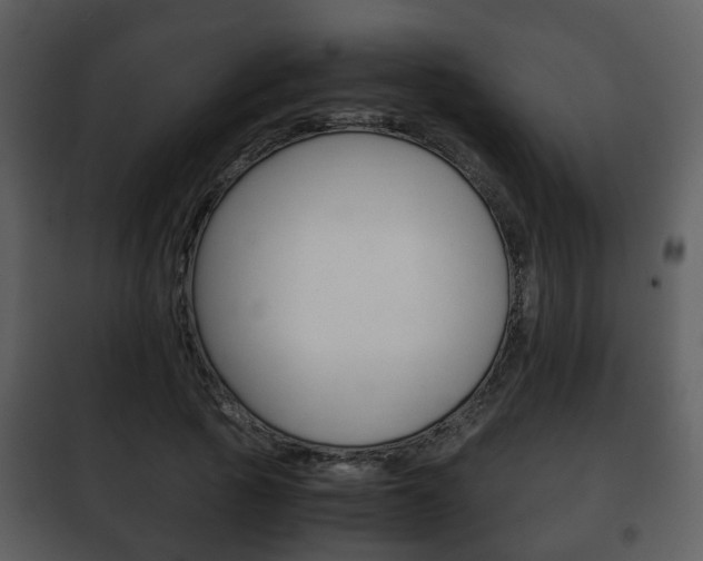 X0000101960737200807180702