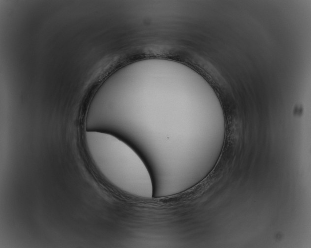 X0000101960738200807180702