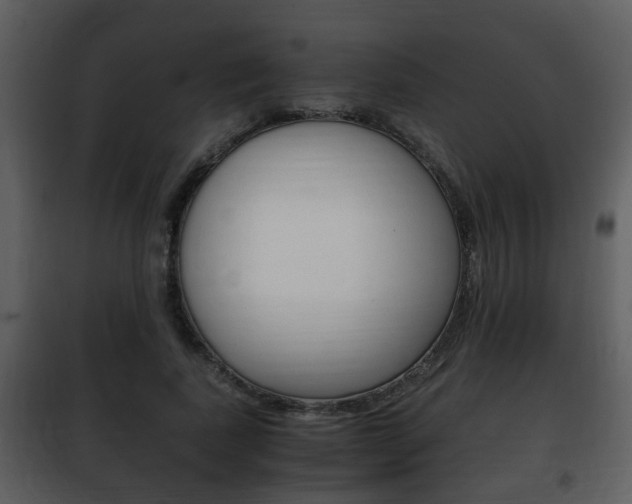 X0000101960739200807180702