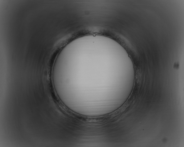 X0000101960740200807180702