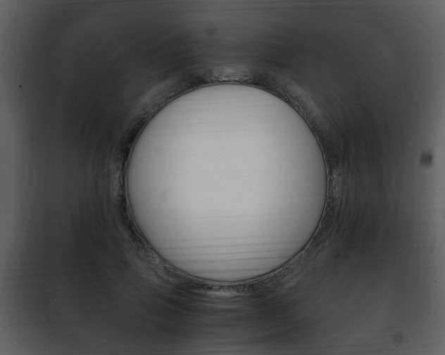 X0000101960741200807180702