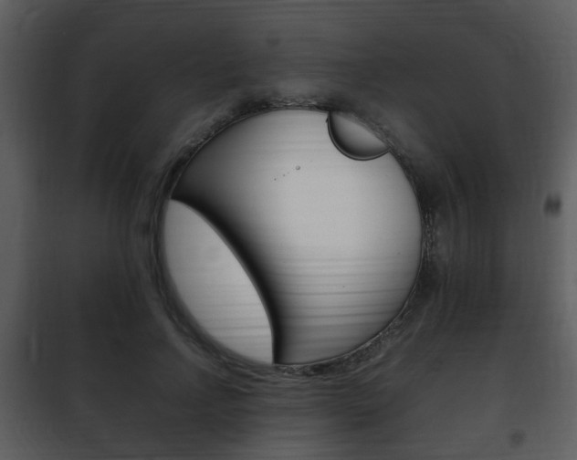 X0000101960742200807180702