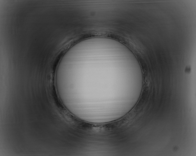 X0000101960744200807180702