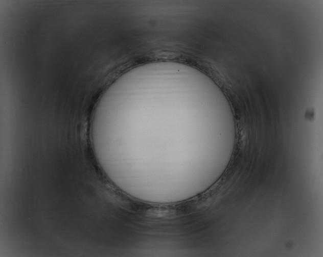 X0000101960745200807180702