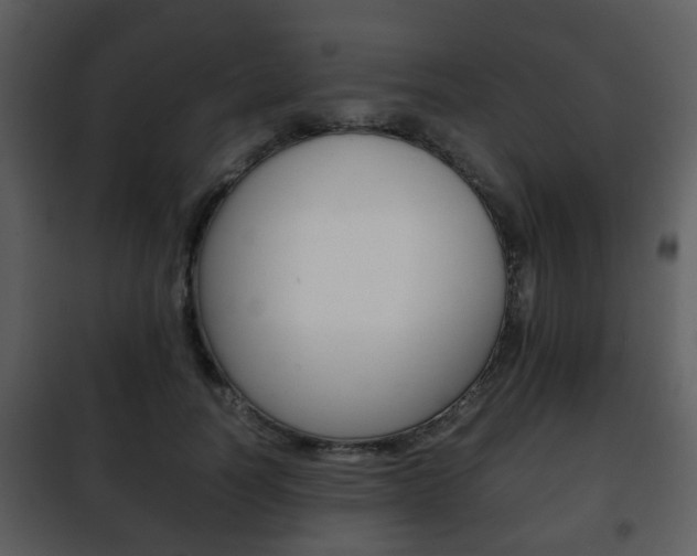 X0000101960746200807180702