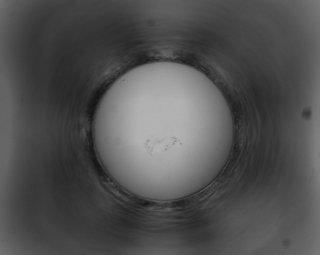 X0000101960747200807180702