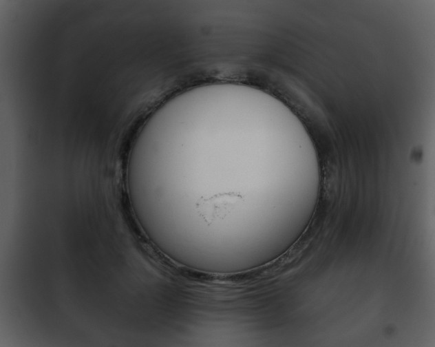 X0000101960748200807180702