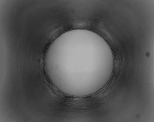 X0000101960749200807180702