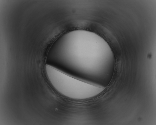 X0000101960750200807180702