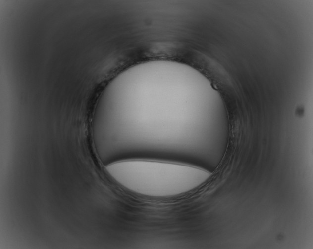 X0000101960751200807180702