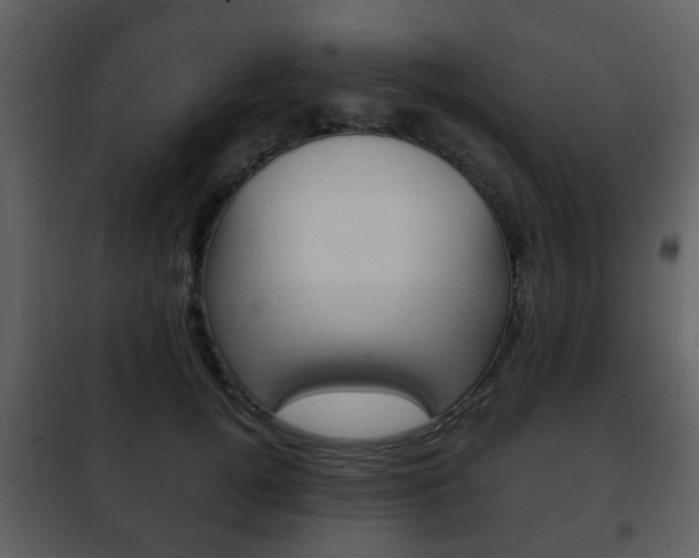 X0000101960752200807180702