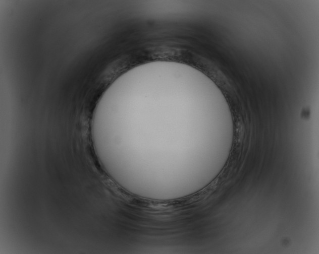 X0000101960753200807180702