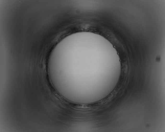 X0000101960754200807180702