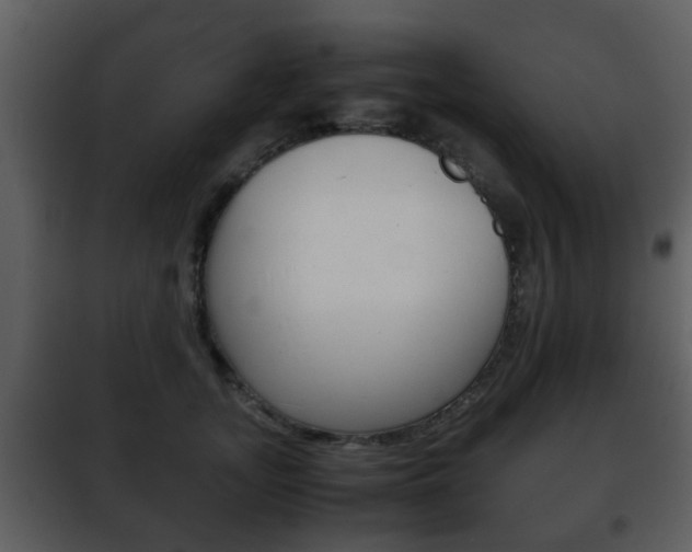 X0000101960755200807180702