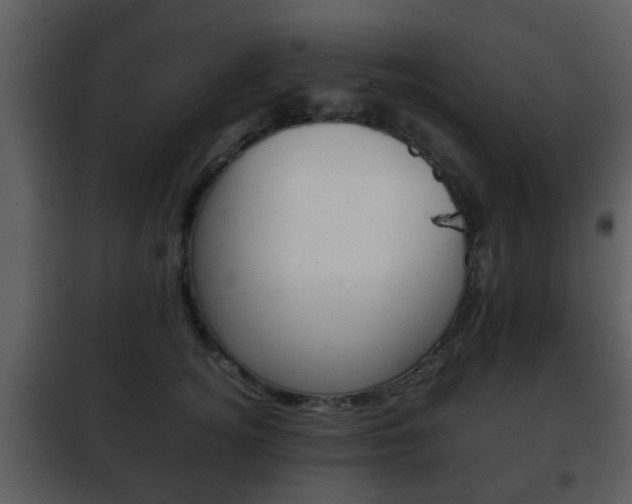 X0000101960756200807180702