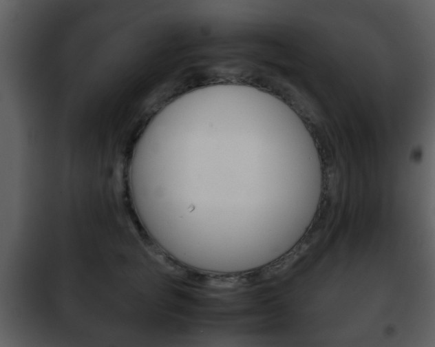X0000101960757200807180702
