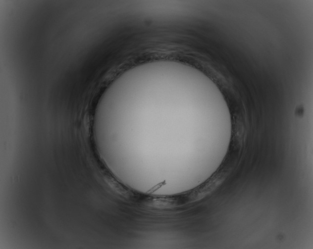 X0000101960758200807180702
