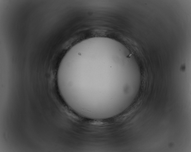 X0000101960759200807180702