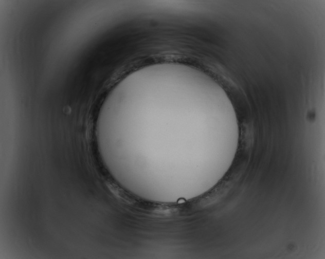 X0000101960760200807180702