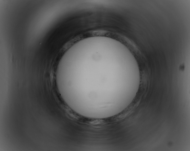 X0000101960761200807180702