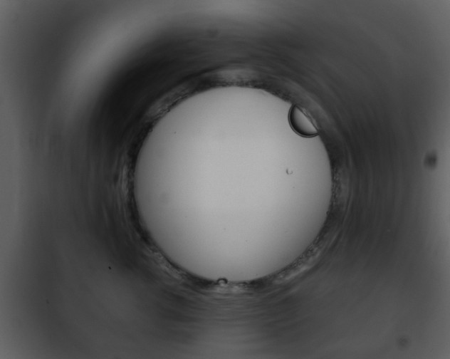 X0000101960762200807180702