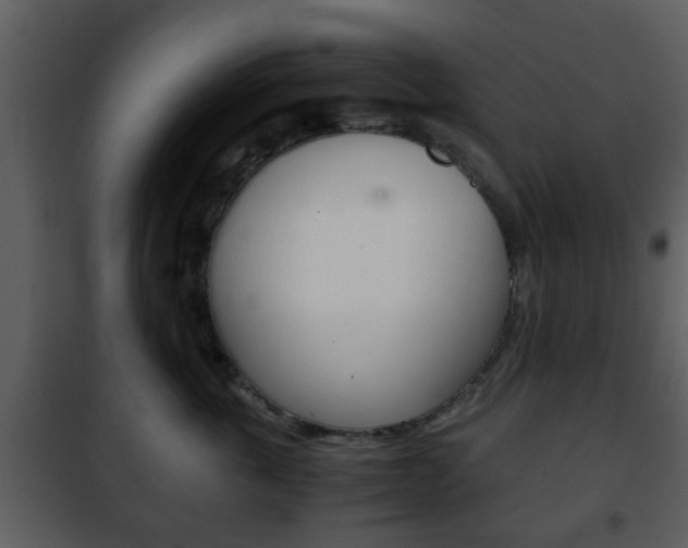 X0000101960763200807180702