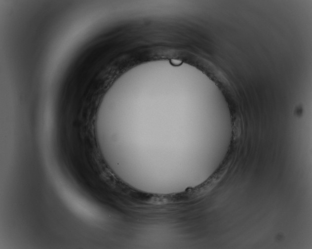 X0000101960764200807180702