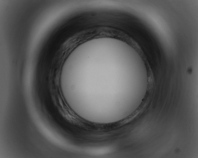 X0000101960765200807180702