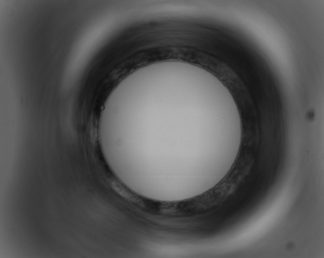 X0000101960766200807180702