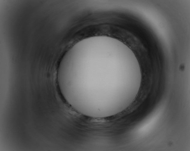 X0000101960767200807180702