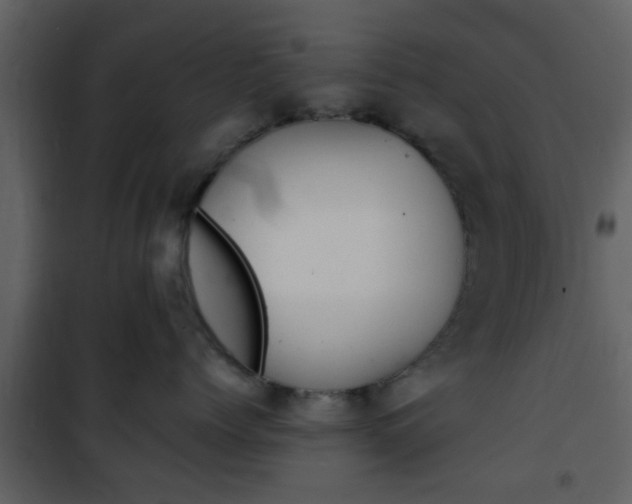 X0000101960768200807180702