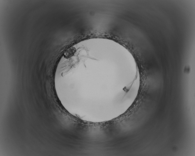 X0000101960769200807180701