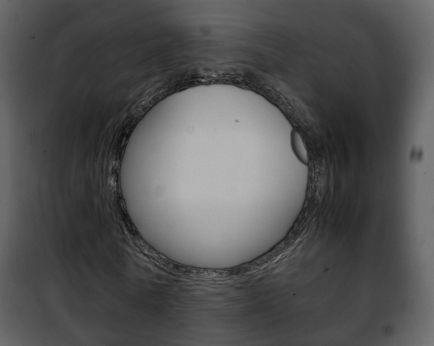 X0000101960770200807180701
