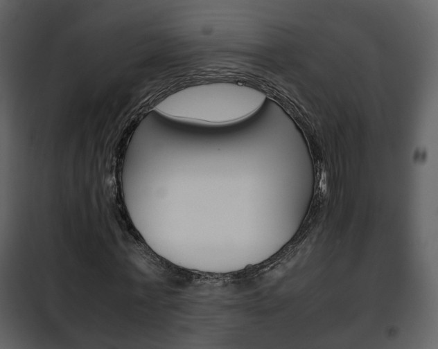 X0000101960771200807180701