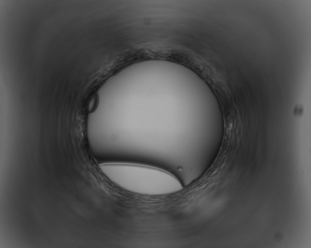 X0000101960772200807180701