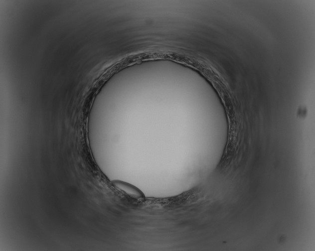 X0000101960773200807180701