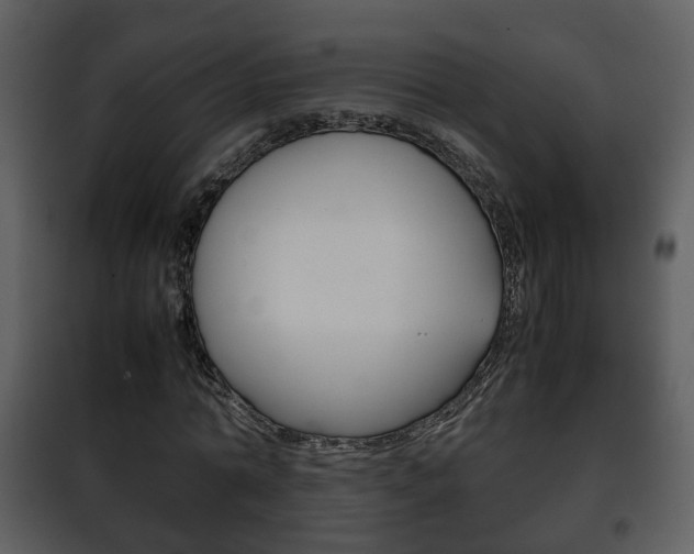 X0000101960774200807180701
