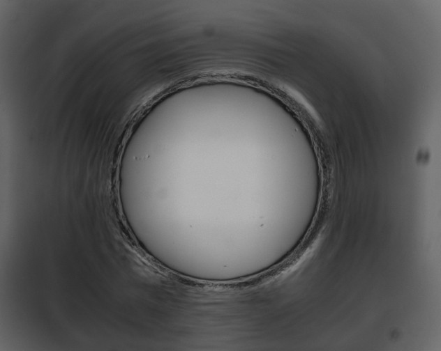 X0000101960777200807180701