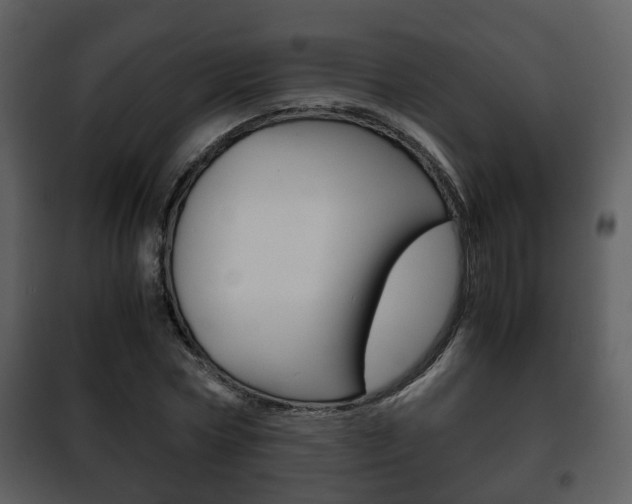 X0000101960778200807180701