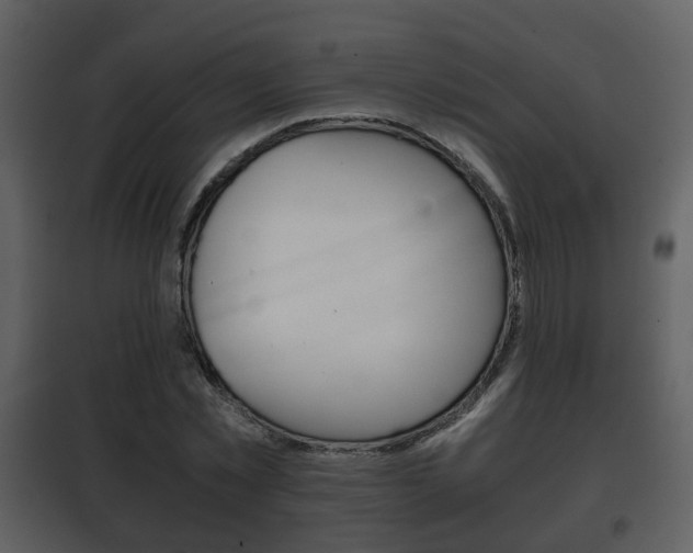X0000101960781200807180701