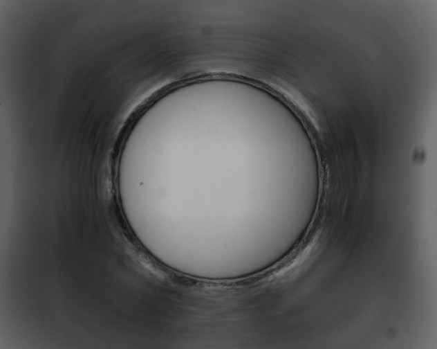 X0000101960782200807180701