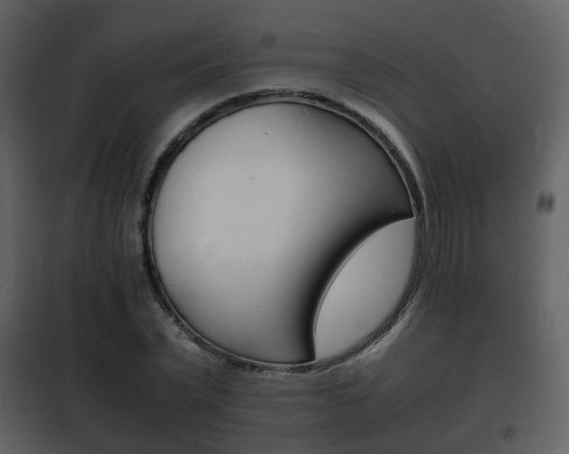 X0000101960783200807180701