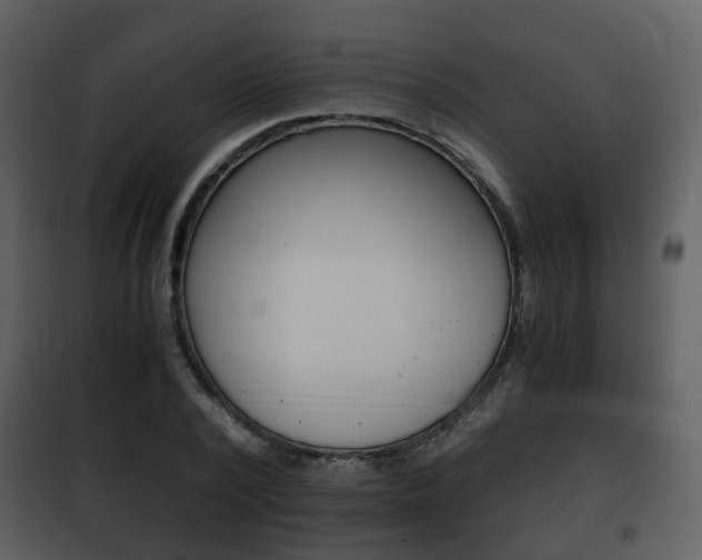 X0000101960784200807180701