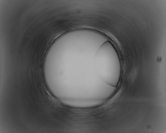 X0000101960785200807180701