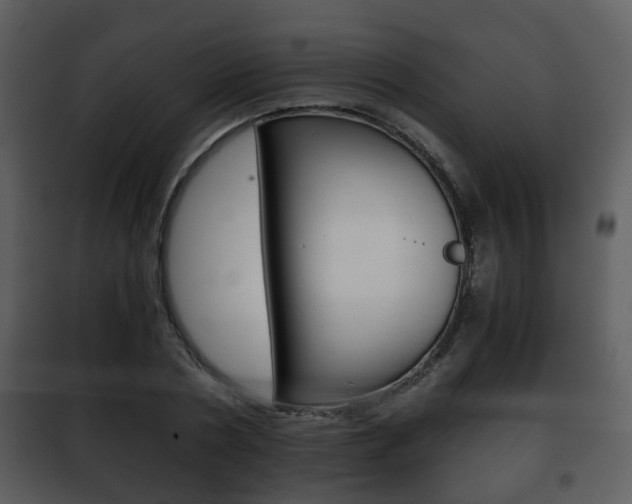 X0000101960786200807180701