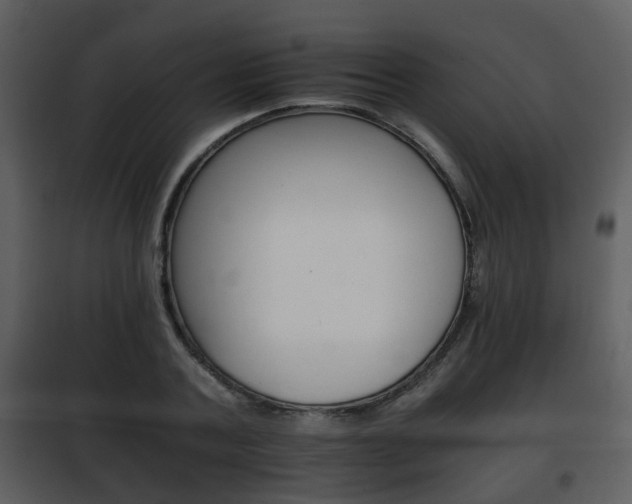 X0000101960787200807180701