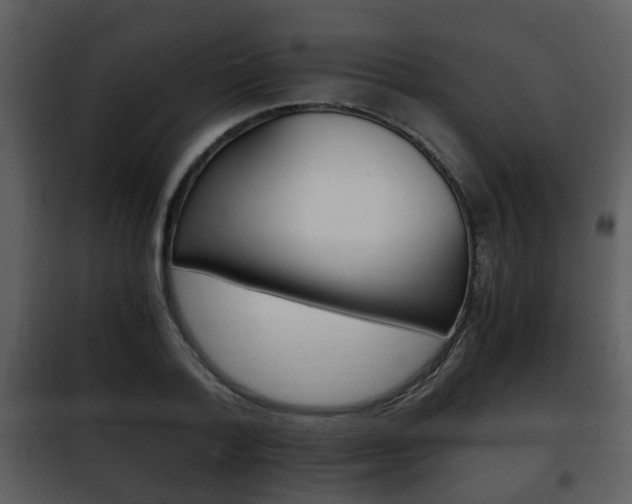 X0000101960788200807180701