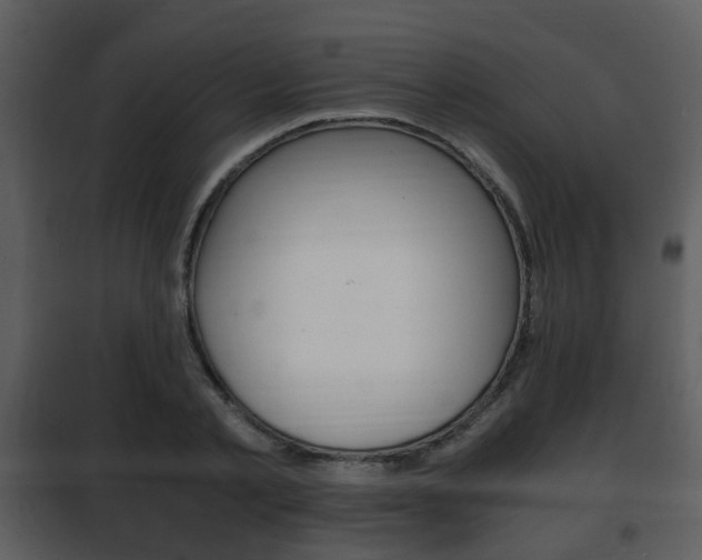 X0000101960789200807180701