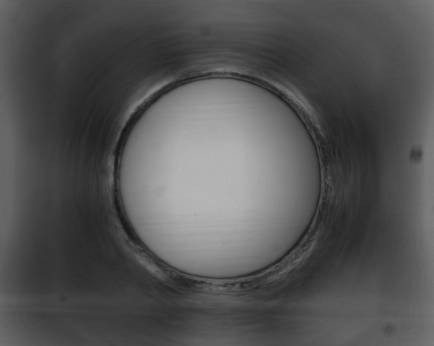 X0000101960790200807180701