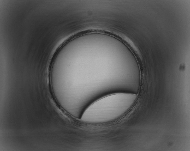 X0000101960791200807180701